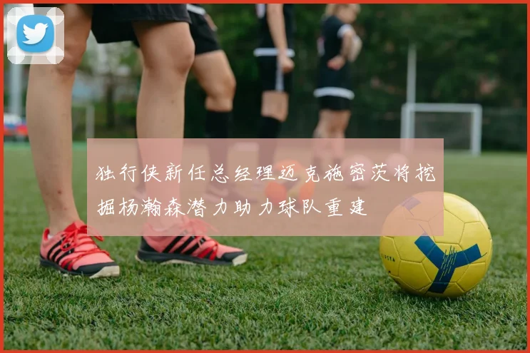 独行侠新任总经理迈克施密茨将挖掘杨瀚森潜力助力球队重建